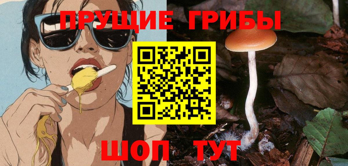 Псилоцибиновые грибы Cubensis Ухта